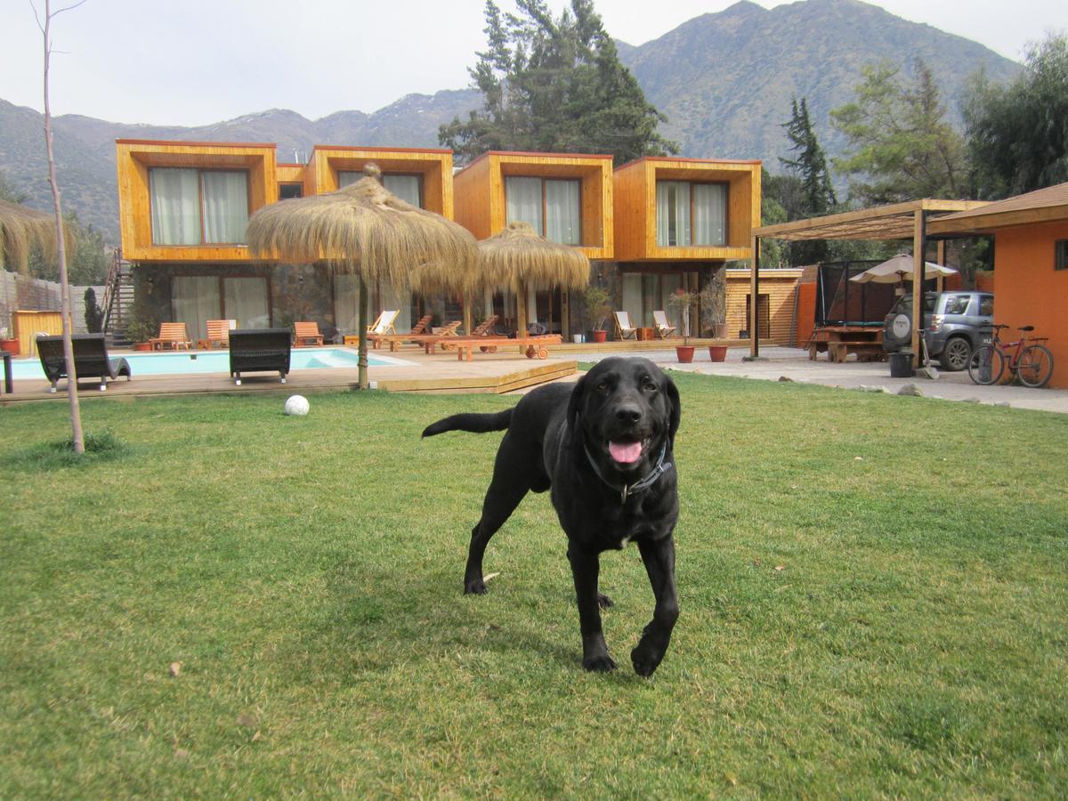 Cajon Del Maipo Lodge San José de Maipo Екстериор снимка